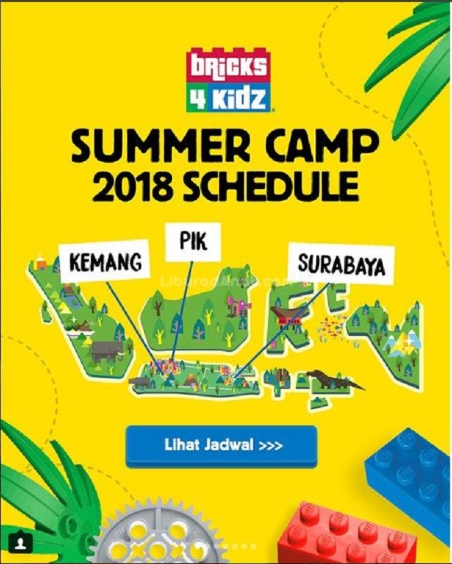 Summer Camp 2018 with Bricks 4 Kidz