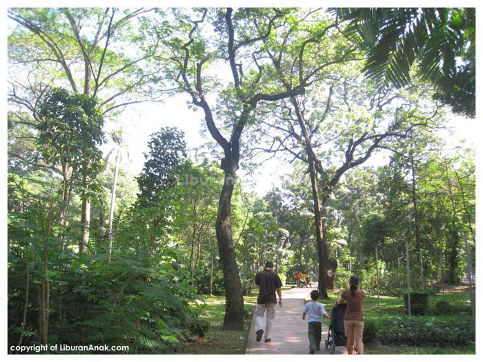 Hutan Kota Tebet