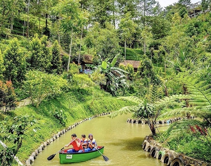 Dago Dream Park