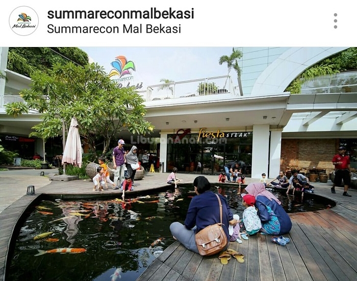 Kolam Ikan Koi di Summarecon Mal Bekasi