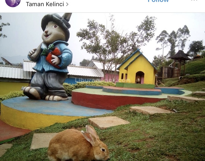 Taman Kelinci Pujon