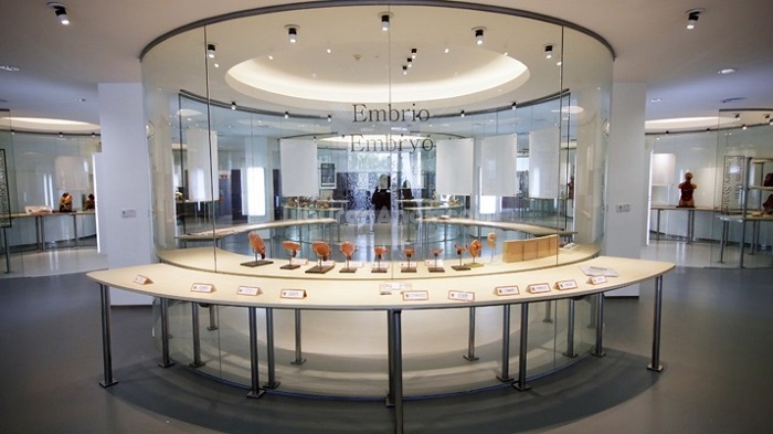 Museum Anatomi Fakultas Kedokteran Universitas Atmajaya