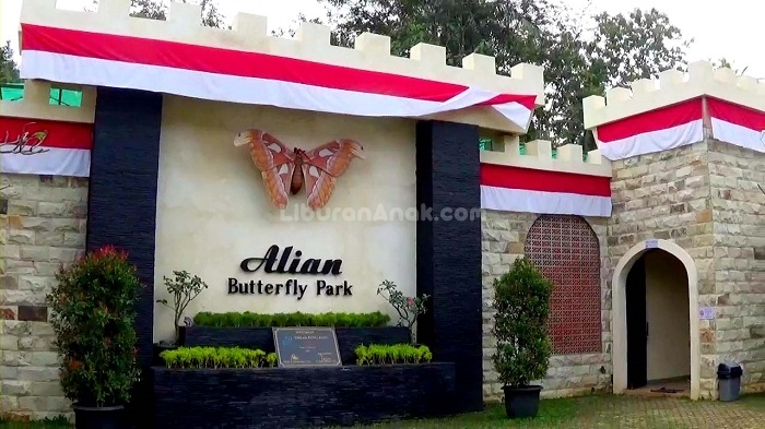 Taman Kupu-Kupu Alian Butterfly Park
