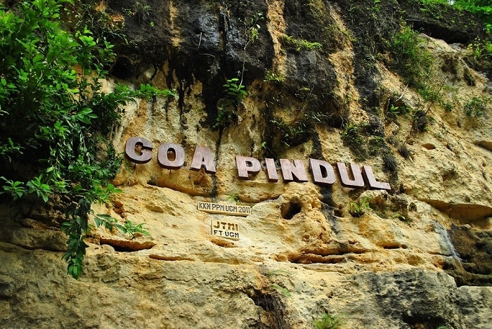 Goa Pindul Cave Tubing