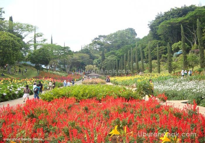 Selecta Wisata Kids Holiday Spots Liburan Anak Selecta Wisata Kids Holiday Spots Liburan Anak