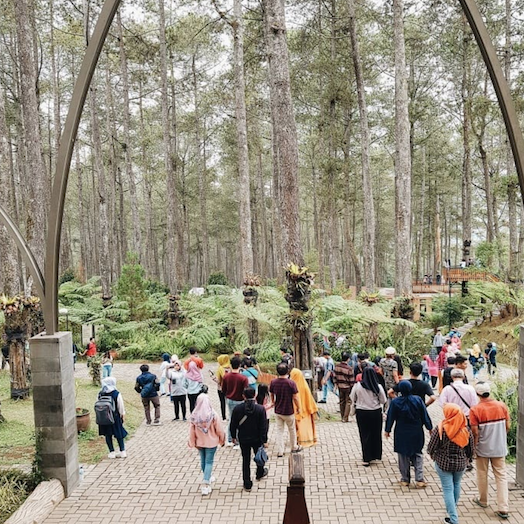 Orchid Forest Cikole