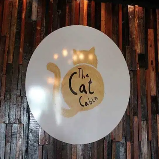 The Cat Cabin