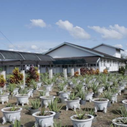 Aloe Vera Centre