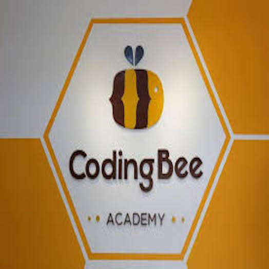 Coding bee Academy SDC