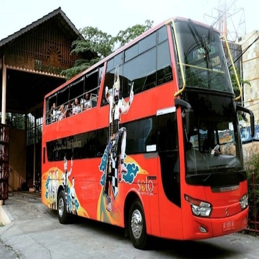 Naik Bus Satwa ke Taman Satwa